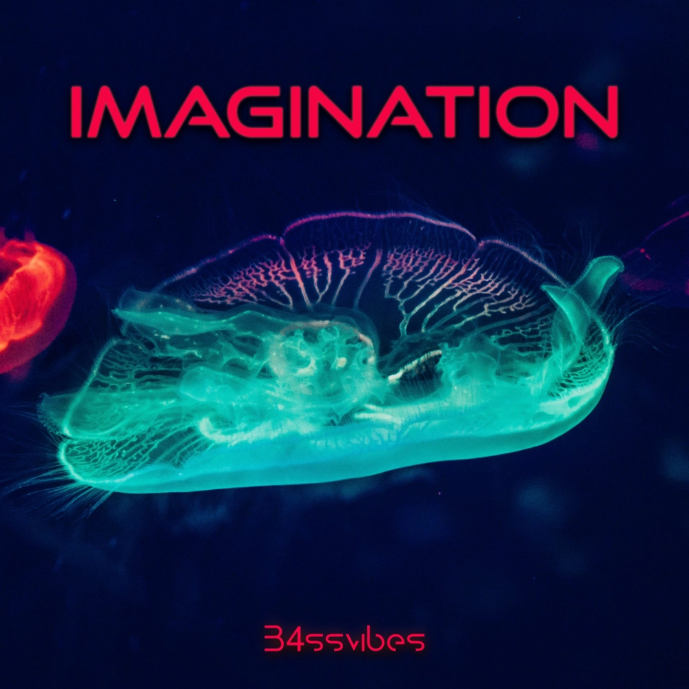 Cover_Imagination