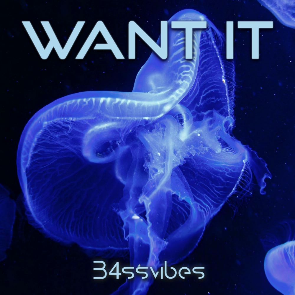 Cover_WantIt